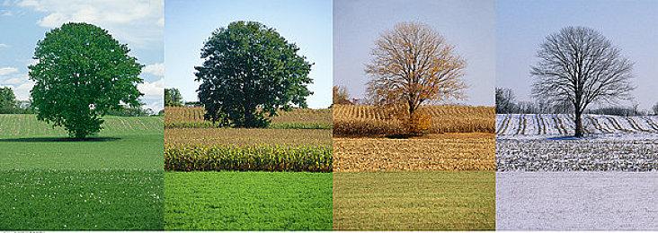 经典角色“比谷”将回归《索尼克：边境》 带来钓鱼小游戏